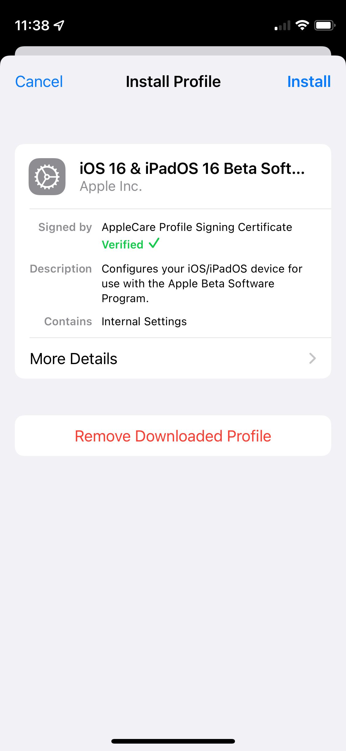 Installation screen for iOS 16 beta profile