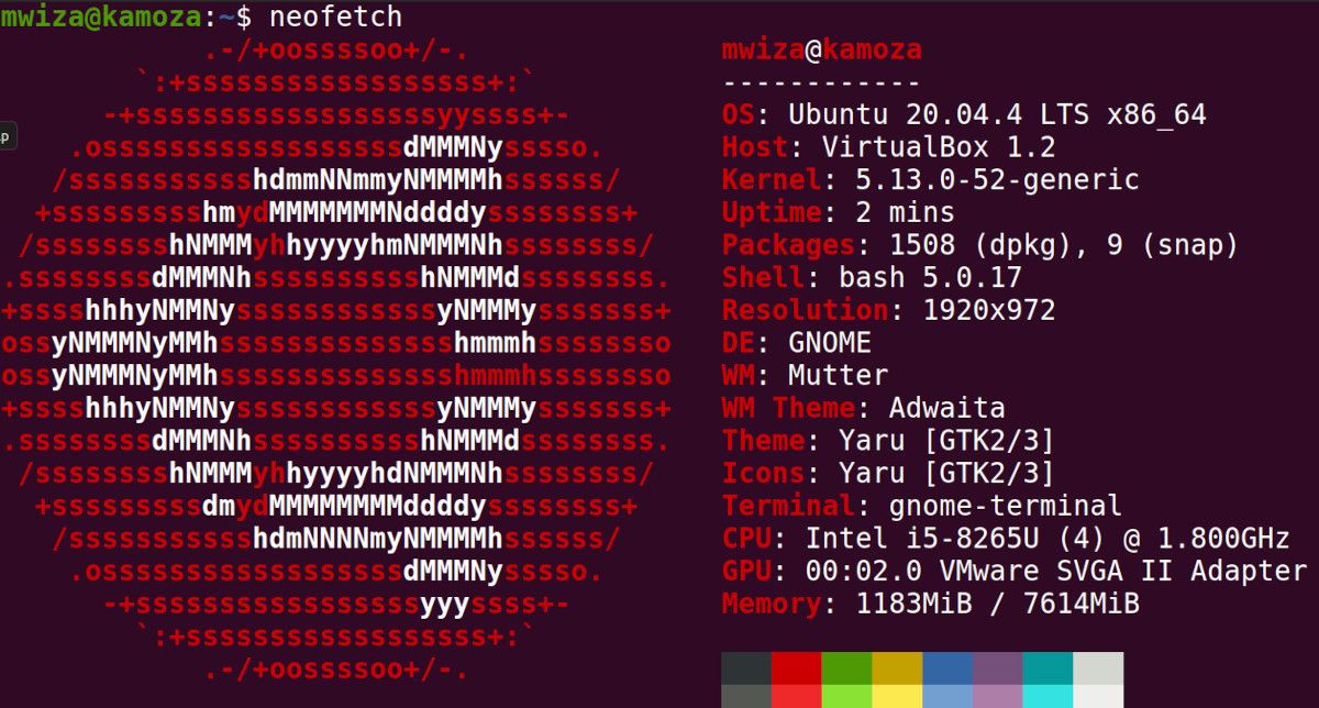 linux terminal showing system info via the neofetch app