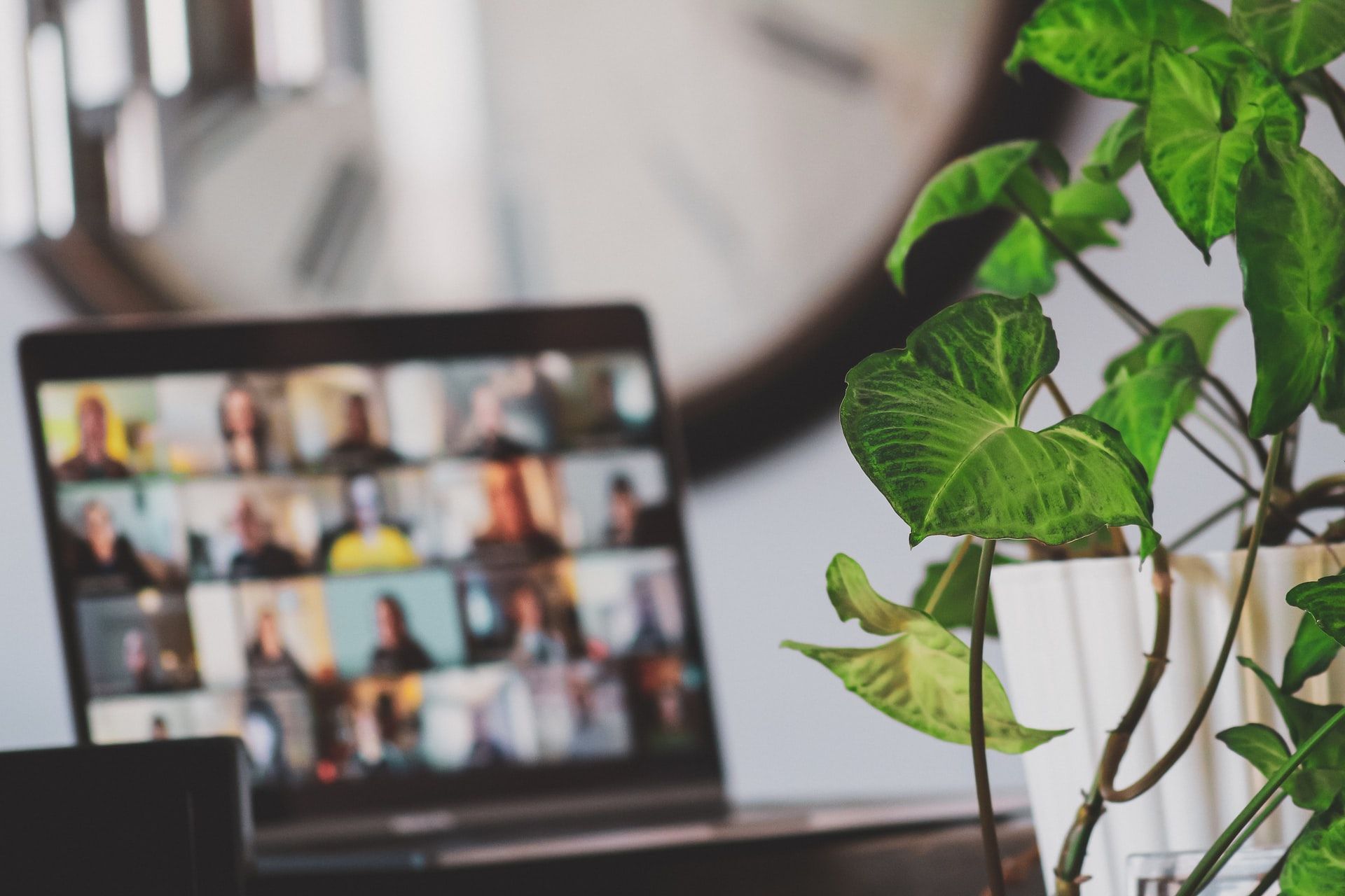 Virtual Conference Meeting Out of Focus Behind Leaves