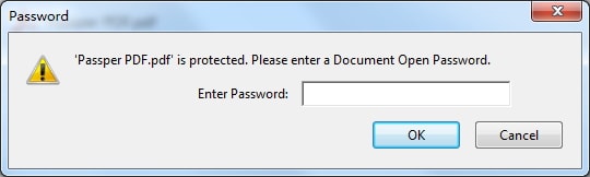 adobe enter document open password