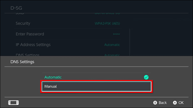 DNS Settings