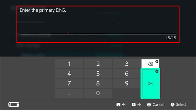 Primary DNS