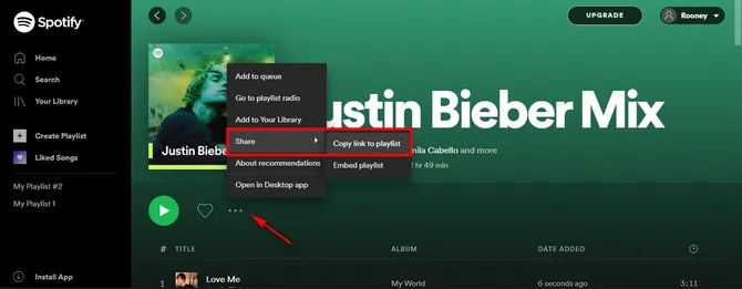 Spotify-Musik-Downloader