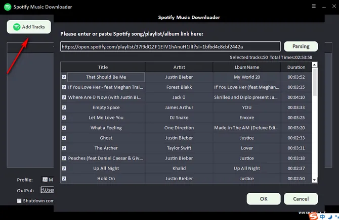 Spotify-Musik-Downloader